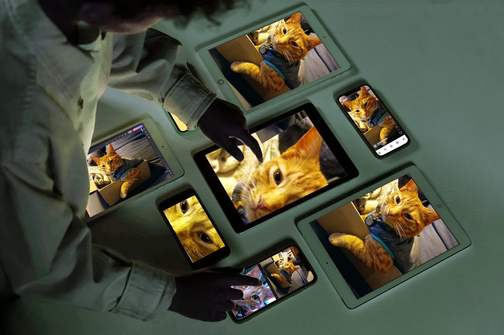 Canva Export Settings function differently on different devices, with different intentions and output destinations